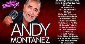 Andy Montanez Sus Mejores Cancíones - Mix Salsa Romanticas De Andy Montanez - 30 Éxitos Vejitas Mix