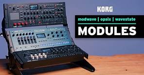 Introducing modules for KORG wavestate, opsix, and modwave!