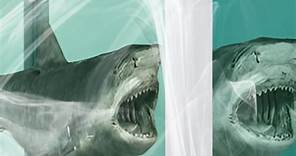 El polemico artista y empresario Damien Hirst representa el tabú que rodea a la muerte mediante este tiburón. ¿Qué opinas de esta obra? | Casa Gemela
