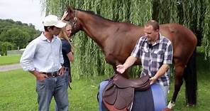 How to do a proper Saddle Fitting for you and your horse