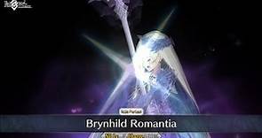 Fate/Grand Order - Brynhildr NP