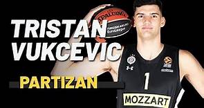 Tristan Vukcevic KK Partizan NIS 2022-2023 Highlights | Adriatic and EuroLeague