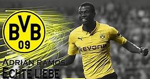 Adrian ramos | ►Goals - skills BVB 09 - 2014