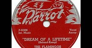 The Flamingos - Dream Of A Lifetime 1954