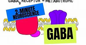 2-Minute Neuroscience: GABA