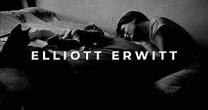 Elliott Erwitt's Best Shots
