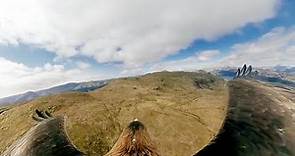 Just How Good is Eagle Vision? | Natural World: Super Powered Eagles | BBC Earth