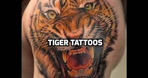 Tiger Tattoos - Best tiger tattoo designs in the world