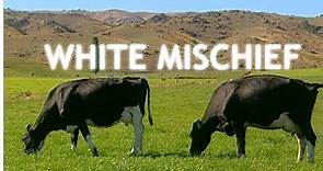 White Mischief (2003) | Trailer | Available Now