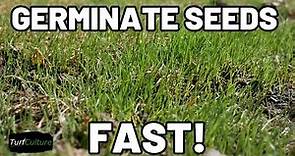 EASY Pre Germinating Grass Seed for FAST Establishment!