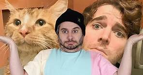 Shane Dawson Did WHAT With His Cat?!