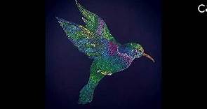 El colibrí - canción infantil
