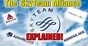 Reimagining Global Air Travel: What is the SkyTeam Alliance?