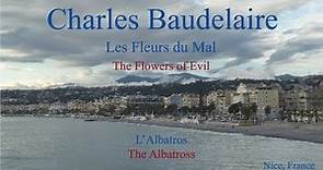 French Poem - L'Albatros by Charles Baudelaire