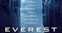 Everest - película: Ver online completa en español
