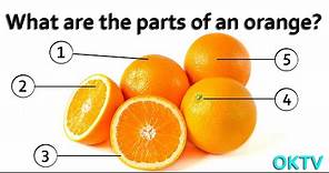 What are the parts of an orange, What is the white part of an orange called?