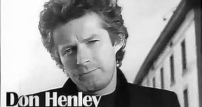 The Boys of Summer - Don Henley (1984) Videoclip