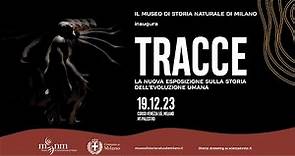 Tracce, la nuova esposizione sulla evoluzione umana al Museo di storia naturale di Milano (h 10)
