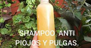 SHAMPOO ANTI PIOJOS.ANTI PULGAS.