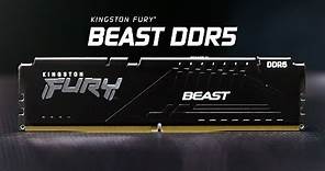 DDR5 Memory with speeds up to 5200MHz – Kingston FURY Beast DDR5