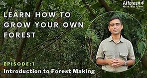 Ch:1 | Introduction to Forest Creation Series | Forest Creation Tutorials | English