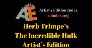 Herb Trimpe’s The Incredible Hulk Artist’s Edition (flip through)