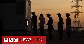 美國《第42條》防疫法案屆滿 大量非法移民湧向美墨邊境－ BBC News 中文