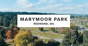 8 Things To Do At Marymoor Park | Redmond, WA