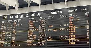 成田機場出關要5小時！ 日本包車業者直擊「現場無止盡排隊」 - 國際 - 自由時報電子報