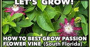 HOW TO GROW PASSION FLOWER VINE