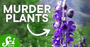 The Top 10 Deadliest Plants (They Can Kill You!)