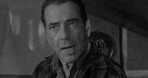 The Desperate Hours 1955 Humphrey Bogart