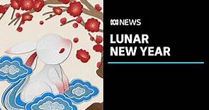 What does the year of the rabbit mean? Lunar New Year explained | ABC News