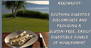 Arrowroot - The Miracle Cure For Your Health Problems | Digestible Source Of Nourishment