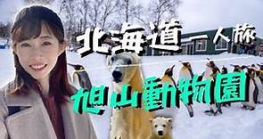 北海道一人旅｜親子景點【旭山動物園】和極地動物 面對面近距離接觸🐾🐻‍❄️🐧🐯