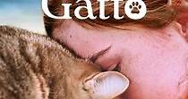 Vita da Gatto - Film (2024)