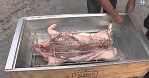 How to roast a whole pig in a Caja China