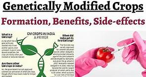 What are Genetically Modified Crops & how are they made, Comparison with Conventional Breeding tech.