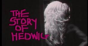 Whether You Like It Or Not: The Story of Hedwig