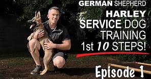 First Ten Steps When Training A Service Dog!