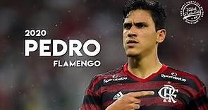 Pedro ► Flamengo ● The Best Strike in Brazil ● 2020 | HD