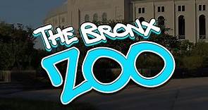 The Bronx Zoo: Episode 1