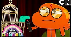La culpa | El Increíble Mundo de Gumball en Español Latino | Cartoon Network