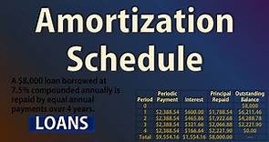Amortization Schedule: Loan Repayment | Basic Intro | PV, PMT, BAL, PRN, INT