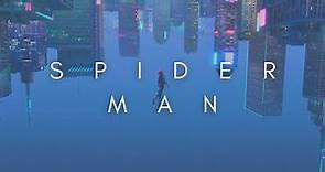 The Beauty Of Spider-man : Into The Spider-Verse