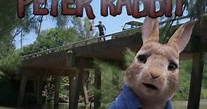 Peter Rabbit 1 - Peter Salva a Benjamin