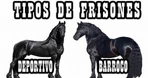 Las Líneas De Frisón (Sport Y Barroco) 🐴-Del Cerro Soy