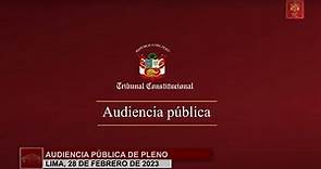 Audiencia del TC sobre proceso que hijos de Ricardo Morán obtengan la nacionalidad peruana