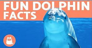 10 Facts About DOLPHINS from Scientific Studies