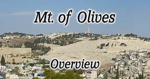 Mt. of Olives Overview Tour: Chapel of Ascension, Pater Noster Church, Dominus Flevit, Gethsemane